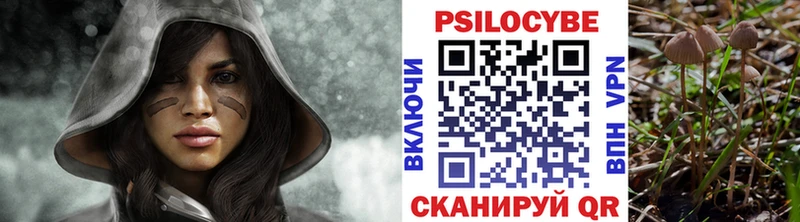 OMG ССЫЛКА  Феодосия  Псилоцибиновые грибы MAGIC MUSHROOMS  купить  сайты 