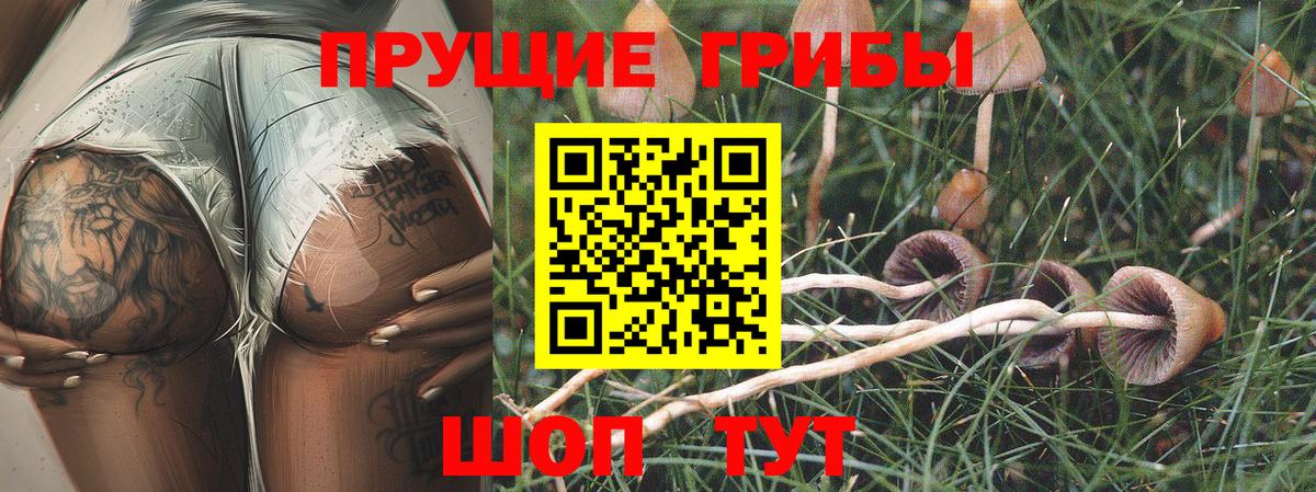 Галлюциногенные грибы прущие грибы  Вход с VPN  Феодосия 